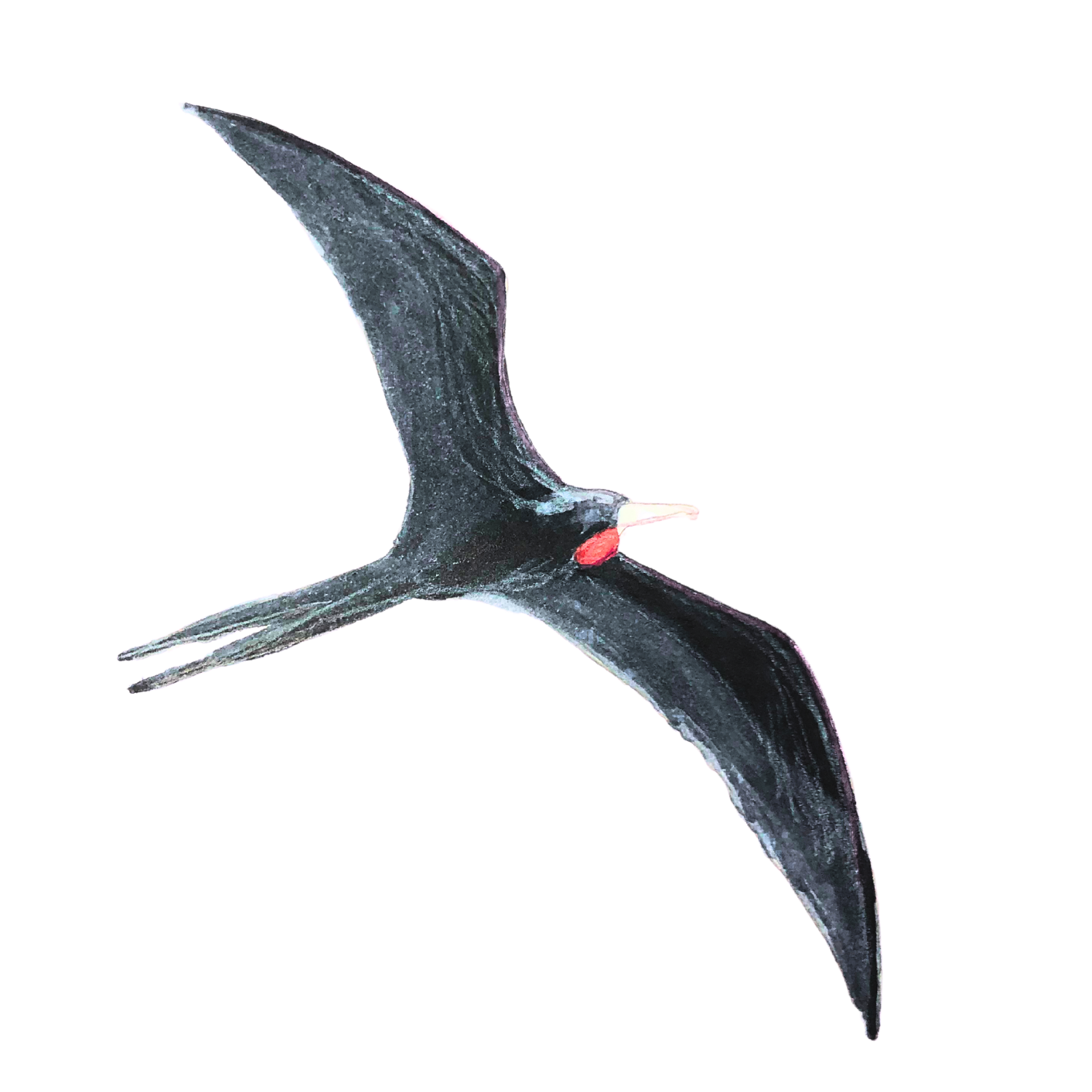 Brian Sky Marriage and Family Therapy