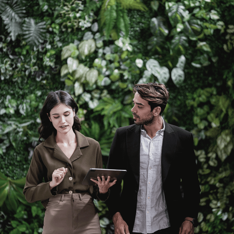 corporate coaching consulting therapy