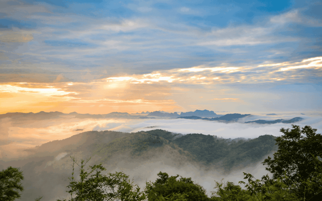 Therapy for When Life Takes a Turn