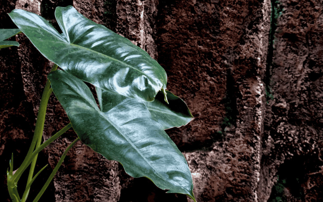 Symbols of Freedom and Flight