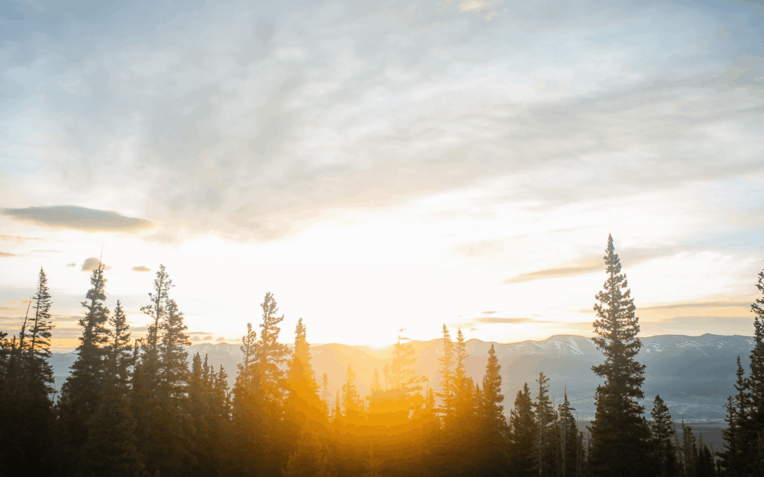 Family Communication Breakdowns